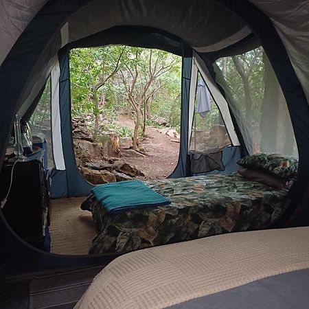 Adorable Unique Guest House - African Bush Feel Kalkheuvel Buitenkant foto