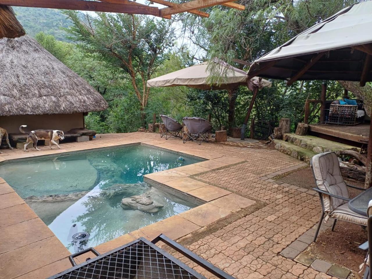 Adorable Unique Guest House - African Bush Feel Kalkheuvel Buitenkant foto